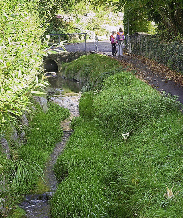 Wissbach, Dorfbach oder Weibach?  | Foto: Dieter Erggelet