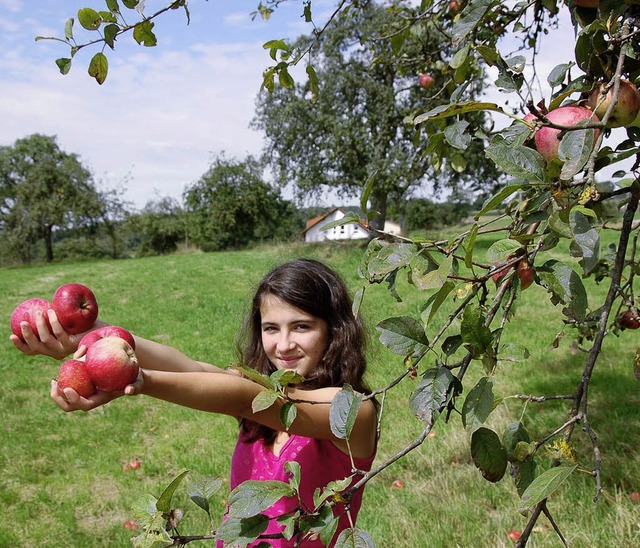 Zahlreiche Obstbume sollen auf einer ...r im Gemeinderat auf Kritik gestoen.   | Foto: Robert Bergmann