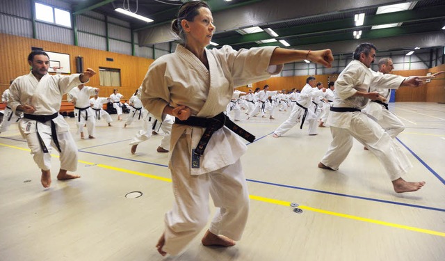 Karatelehrgang in der Sporthalle an der Kchlinstrasse in Steinen.  | Foto: Meinrad Schn