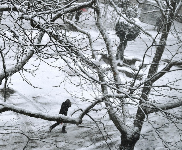 Der Marktplatz whrend des Schneegestbers     | Foto: Barbara Ruda