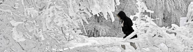 Der Winter hat seine schnen Seiten: Spaziergang im Schnee  | Foto: dpa