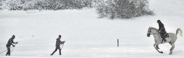 Winterfreuden in Schweden  | Foto: dpa