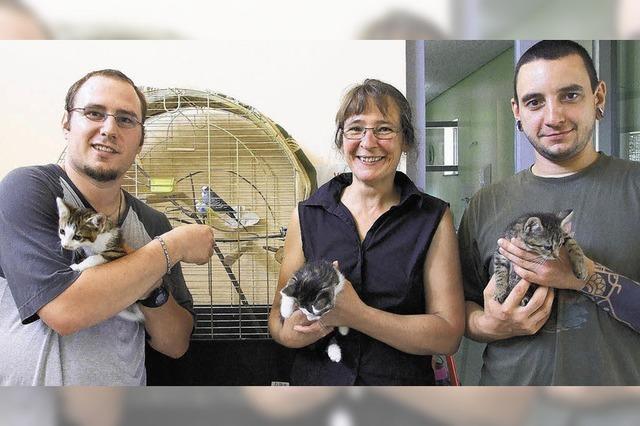 Stadt zahlt fr Fundtiere