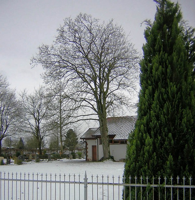 Auf dem Friedhof in Kollmarsreute soll...eich  eine Friedwiese angelegt werden.  | Foto: Gerhard Walser