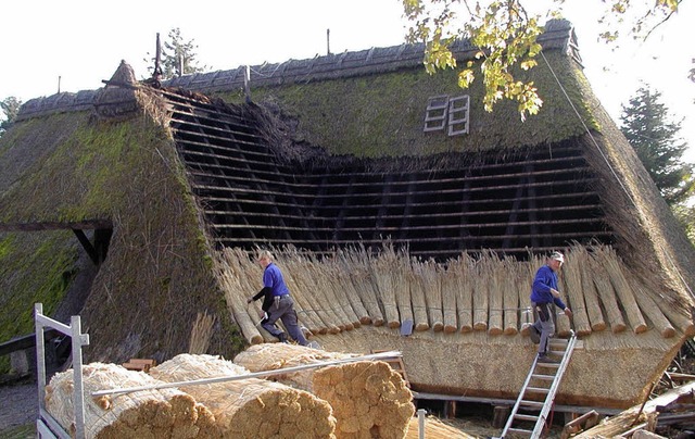 Geht es nach dem Wunsch der Gemeinde u...lausenhofes 2011 weitergefhrt werden.  | Foto: Archivfoto: Wolfgang Adam