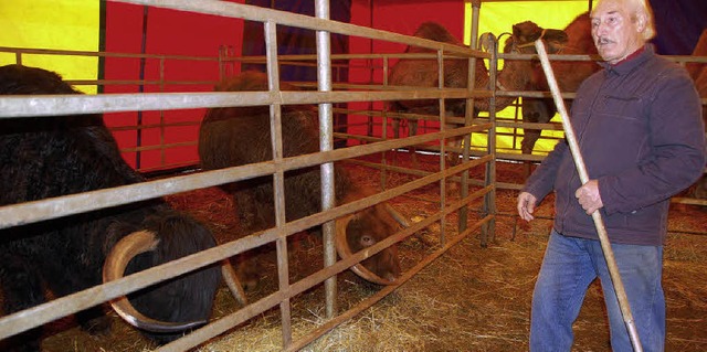 Die Tiere stehen bei Zirkusdirektor Wa.... Sie berwintern im beheizten Zelt.    | Foto: Frey