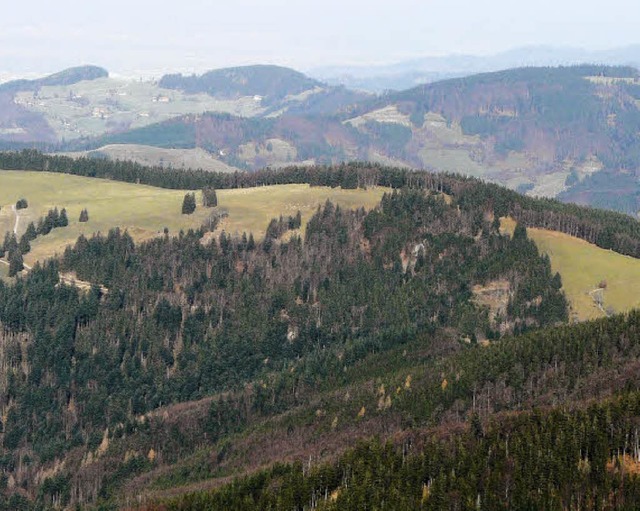 Blick auf den Brandenberg-Breitnauer K...211; mglicher Standort fr Windrder.  | Foto: Privat