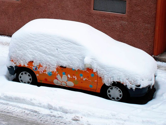 Flower-Power unter dicker Schneehaube....rsten Weihnachtsfeiertags zu kmpfen.   | Foto: Gertrude Siefke