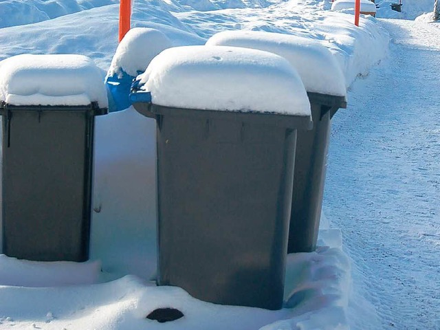 Die Mlltonnen sind eingeschneit, vielerorts trmen sich auch  blaue Scke.  | Foto: kbl