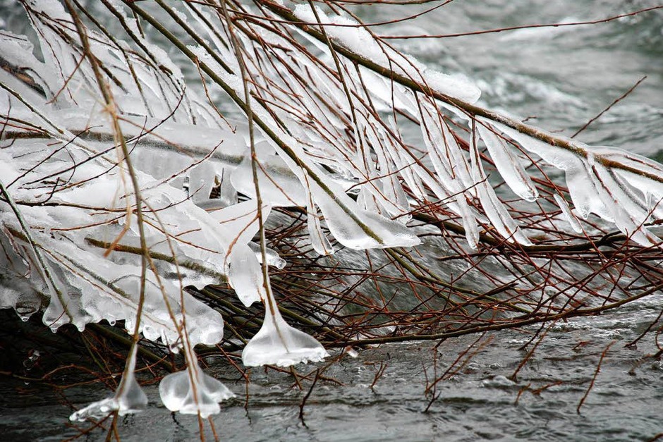 Eisgebilde in Freiburg (Foto: Carlotta Huber) Eisgebilde in Freiburg (Foto: Carlotta Huber)