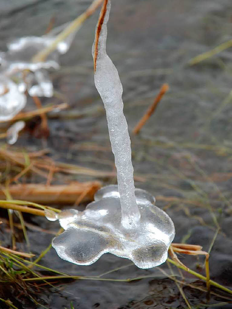 Eisgebilde in Freiburg