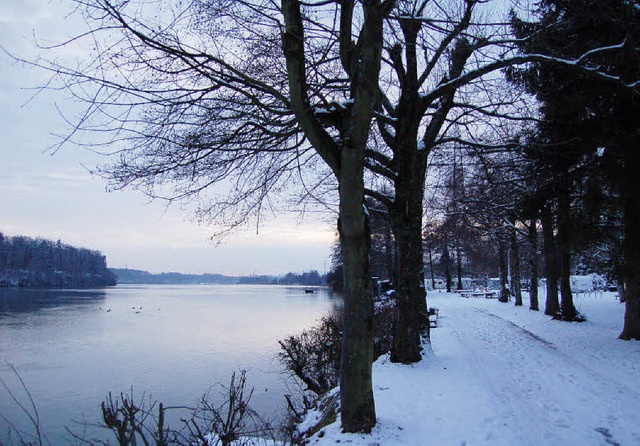 Trgerische Winteridylle am Rheinufer:...s Jahr  auf kommunalpolitischer Ebene.  | Foto: Hildegard Siebold