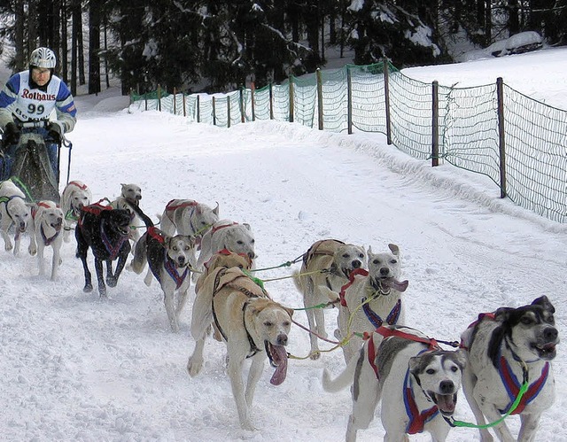 Das Schlittenhunderennen, der Tag des ...rprsident Stefan Mappus bei der SLG.   | Foto: Ulrike Spiegelhalter (2), Kathrin Blum (2), Stefan Sahli, Susanne Filz