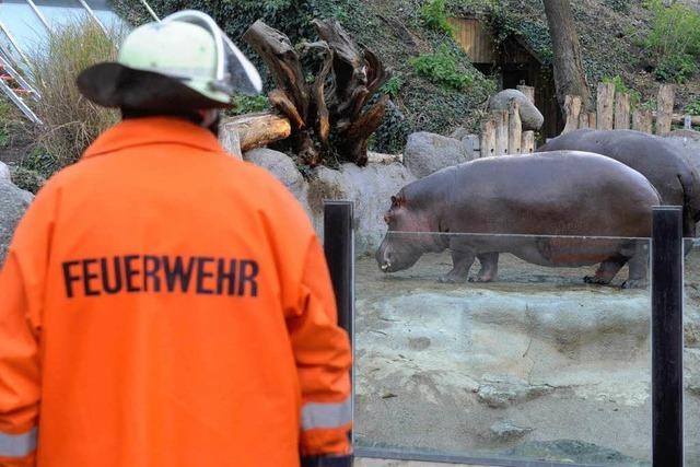 Brandkatastrophe: 700.000 Euro Spenden für den Zoo Karlsruhe