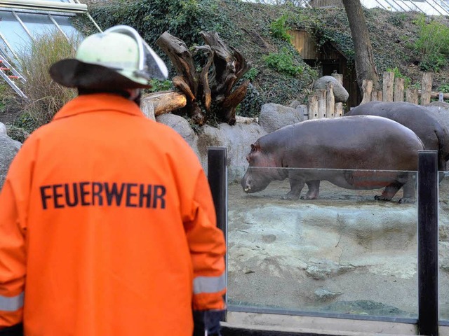 Bei dem Feuer im Zoo Karlsruhe waren a...26 Tiere im Streichelgehege gestorben.  | Foto: dpa