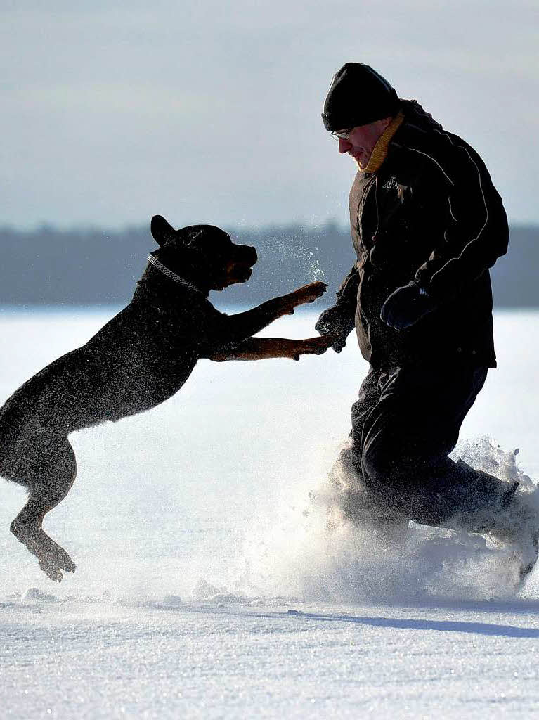 Ein Mann und sein Hund spielen im brandenburgischen Alt Zeschdorf im Mrkisch-Oderland auf einem verschneiten Feld.