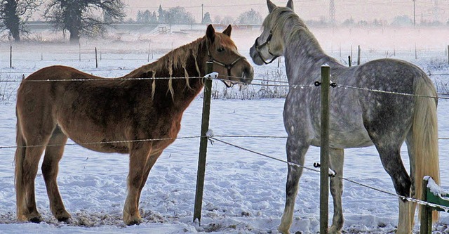   | Foto: Gaby Menzel (privat)