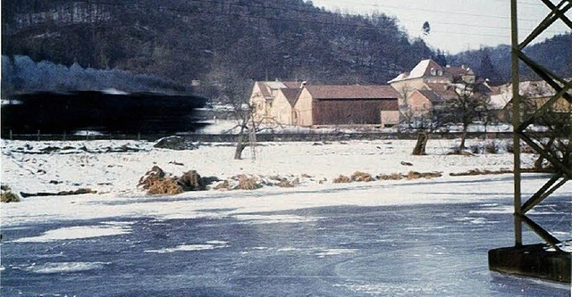 2010 war zwar ein Klterekordjahr, abe...Rhein bei Schwrstadt zugefroren war.   | Foto: Helmut Kohler