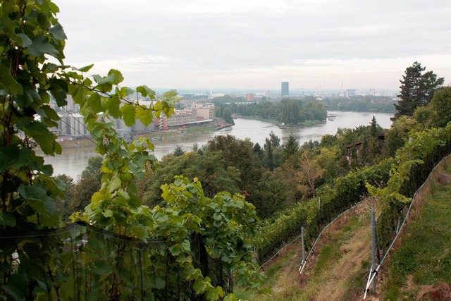 Der Grenzacher Hornfelsen.  | Foto: Julia Jacob