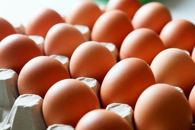 Dioxin-Eier: Die Lebensmittelindustrie lernt nichts