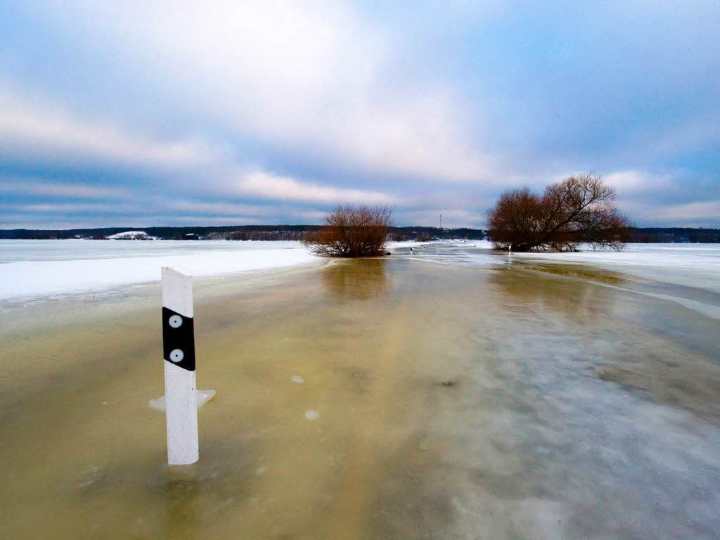 Nach dem Schnee kommt das Hochwasser: eine von der Oder berflutete Strae im Oderbruch.