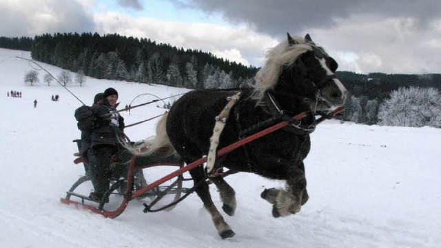 Voller Dynamik und mit wehender Mhne ...eser Einspnner auf dem Weg zum Ziel.   | Foto: Monika Rombach