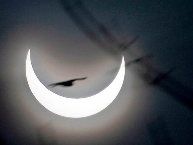 Ein Vogel vor der verdeckten Sonne: Di...timmung bei vielen Amerikanern wieder.  | Foto: dpa