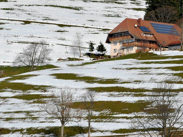 Grn-wei gefleckt ist die Landschaft ...eren Lagen des Schwarzwalds schmelzen.  | Foto: dpa