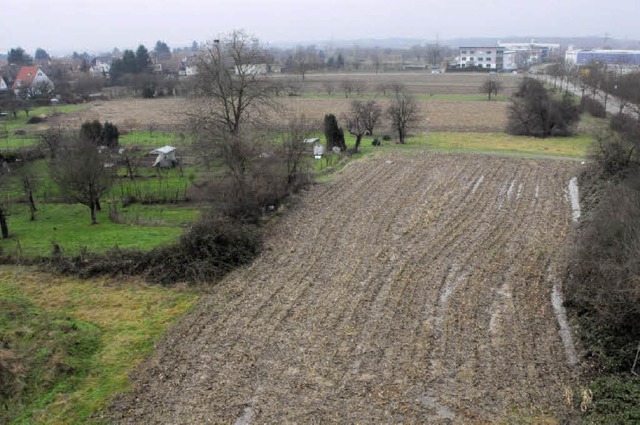 Auf dem Gelnde westlich des neuen Ret...n Handwerksbetrieben entwickeln lassen  | Foto: Markus Zimmermann