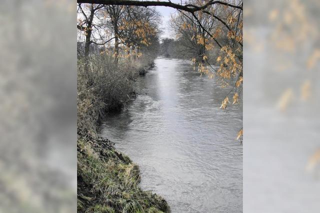 Bahlingen beseitigt die dringendsten Uferschden