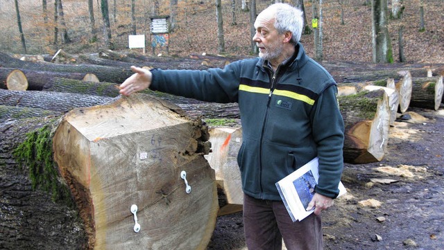 Revierfrster Michael Nutsch erklrt, ...bei der Bewertung des Holzes ankommt.   | Foto: Dorothee Philipp