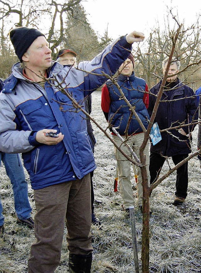 Obstbauberater Klaus Nasilowski zeigt,...tbume fachgerecht zu schneiden sind.   | Foto: Privat