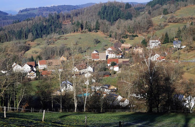 Ein Bild vom Internet-Bedarf in Raitba...ragebogen an alle Haushalte verteilt.   | Foto: Edgar Steinfelder