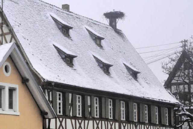 Generalsanierung im Hause Adebar?