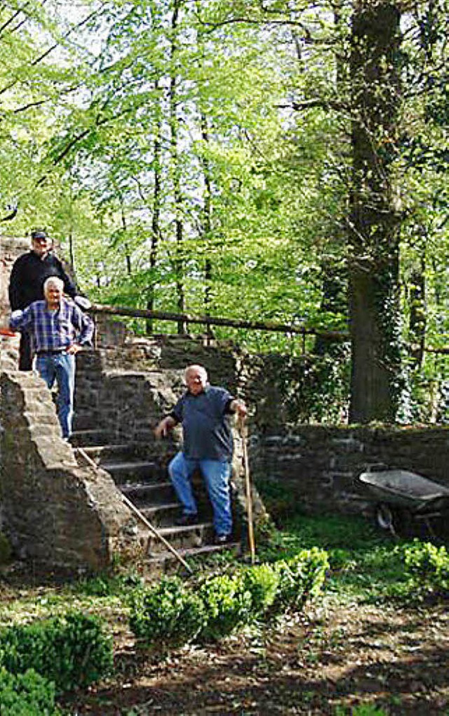 Der Wald um St.Severin soll ausgelicht...n, fordert die Fraktionsgemeinschaft.   | Foto: Privat