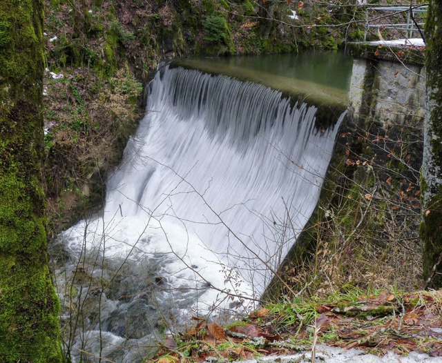 Staumauer Khlgartenwiese  | Foto: dsa