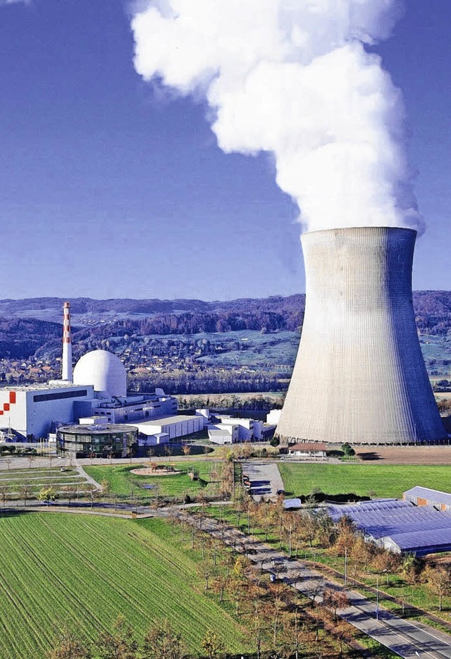 Das Kernkraftwerk Leibstadt  produzier...ozent des Schweizer  Strombedarfs.      | Foto: kraftwerk Leibstadt