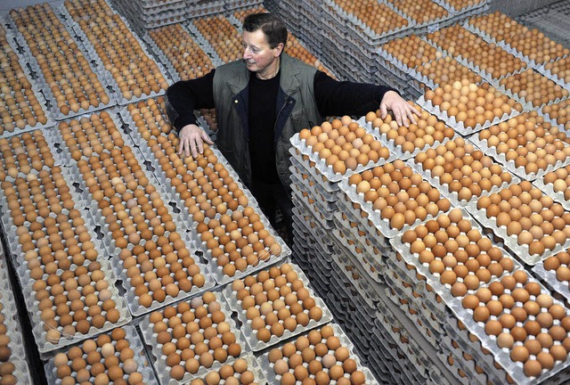 Massenhaft Eier lagern in einem nieder... in dem 55000 Hhner gehalten werden.   | Foto: dpa