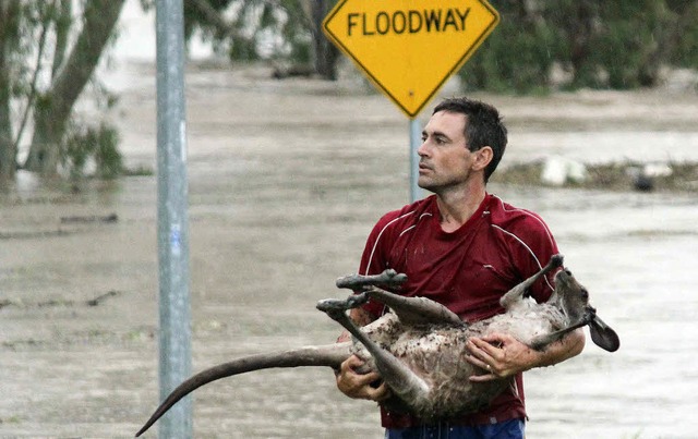 Der Australier vergisst sein Knguru  ...t und rettet es vor den Wassermassen.   | Foto: afp