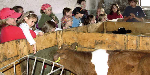 Eine Aktion de Landfrauen: Kinder werd...t sie die Landwirtschaft kennenlernen.  | Foto: Maier