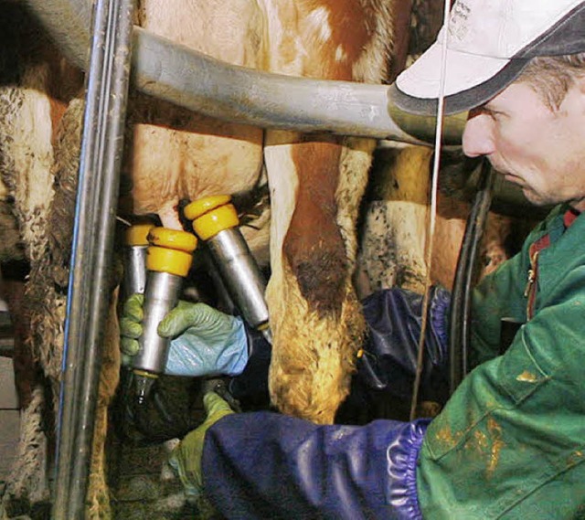 Bis die Milch im Glas ist, steht am An...hier auf dem Volk-Hof in Schuttertal.   | Foto: h. fssel