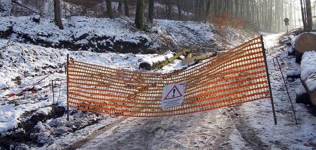 Forstarbeiten: Beim Einschlag des Holz...den, wie hier im Mllheimer Eichwald.   | Foto: Dorothee Philipp