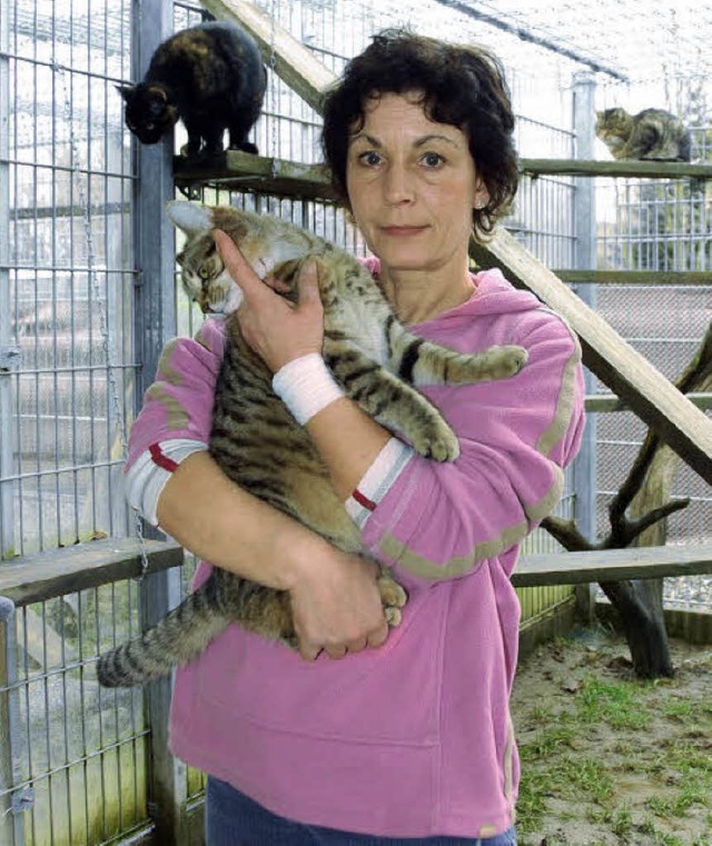 Tierheimleiterin Martina Donath mit ei...rtrauten Gäste, die viel Auslauf haben | Foto: Frey Tierheimleiterin Martina Donath mit ei...rtrauten Gäste, die viel Auslauf haben | Foto: Frey