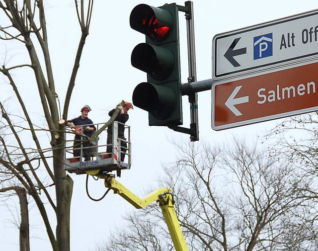 Fr Fllarbeiten und Baumpflege gibt die Stadt viel Geld aus.   | Foto: Seller