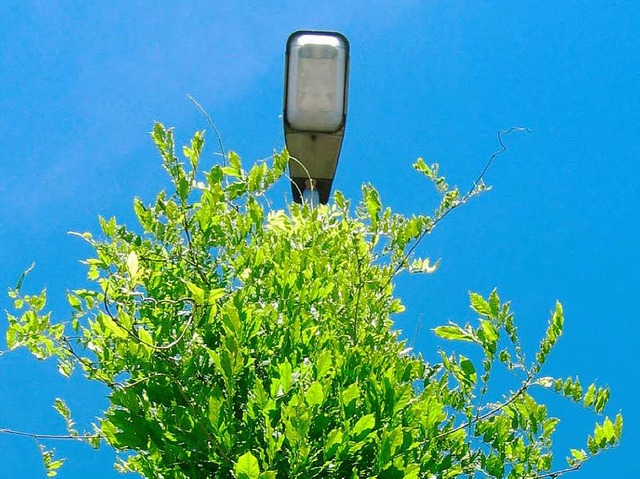 Die Stadt Offenburg htte am liebsten die &#8222;grne&#8220; Straenlaterne.   | Foto: Susanne Mller