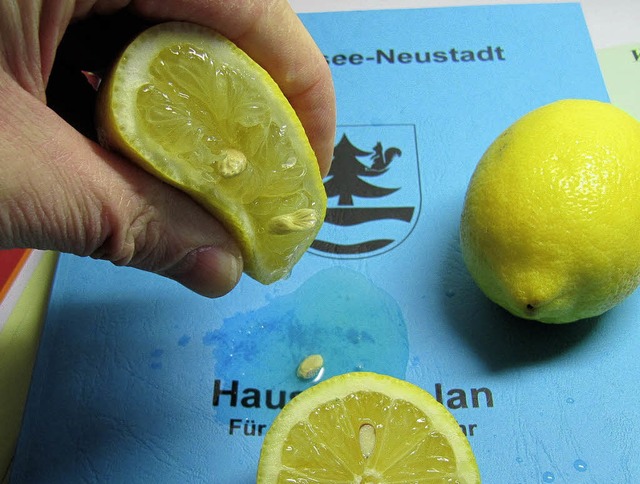 Ausgequetscht wie eine Zitrone:  Im Ha...arbemhungen zunichte gemacht werden.   | Foto: Thomas Winckelmann