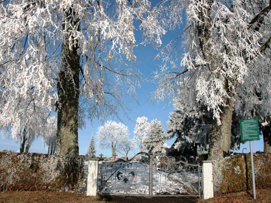 Auch anonyme Grabfelder möglich ÜhlingenBirkendorf Badische Zeitung