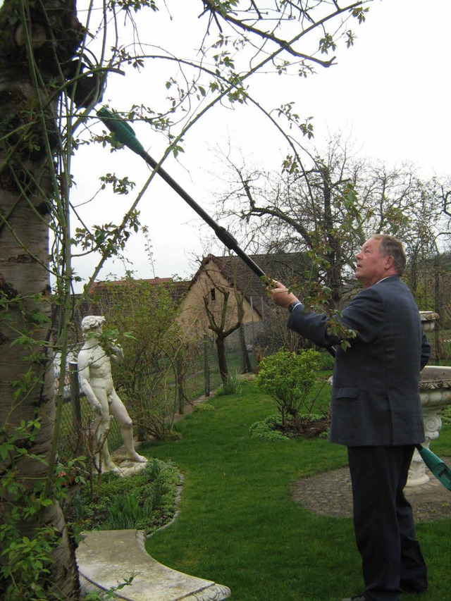 Was er beim Agenda-Baumschnitt-Kurs ge...un in seinem eigenen Garten anwenden.   | Foto: Anne Freyer
