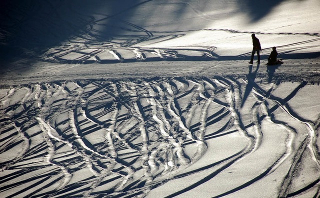   | Foto: Markus Donner