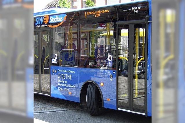 STADTBUMMLER: Sturm und Drang am Busbahnhof